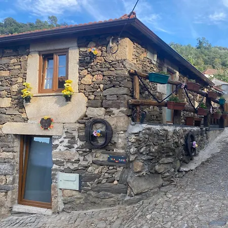 Casa Flores Lamego
